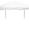 Impact Canopy USA Canopies 10x10 Gazebo Canopy Tent - HW
