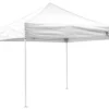 Impact Canopy USA 10x10 Recreational Grade Steel Pop Up Canopy Tent - TL